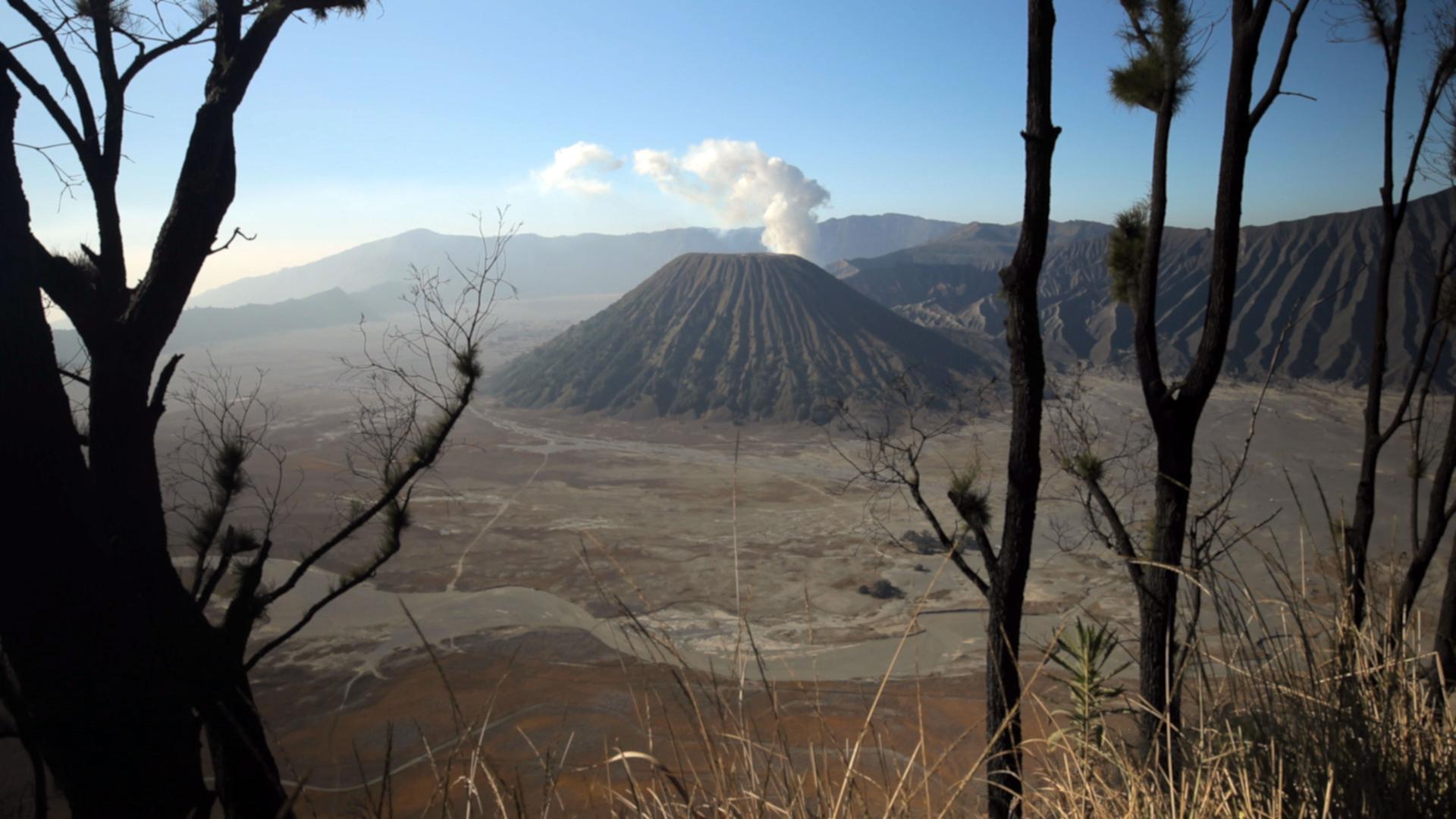 "Traumorte - Java": Totale Vulkan, im Vordergrund ein paar Baumstämme.