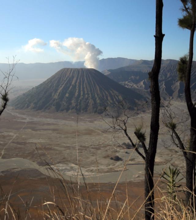 "Traumorte - Java": Totale Vulkan, im Vordergrund ein paar Baumstämme.