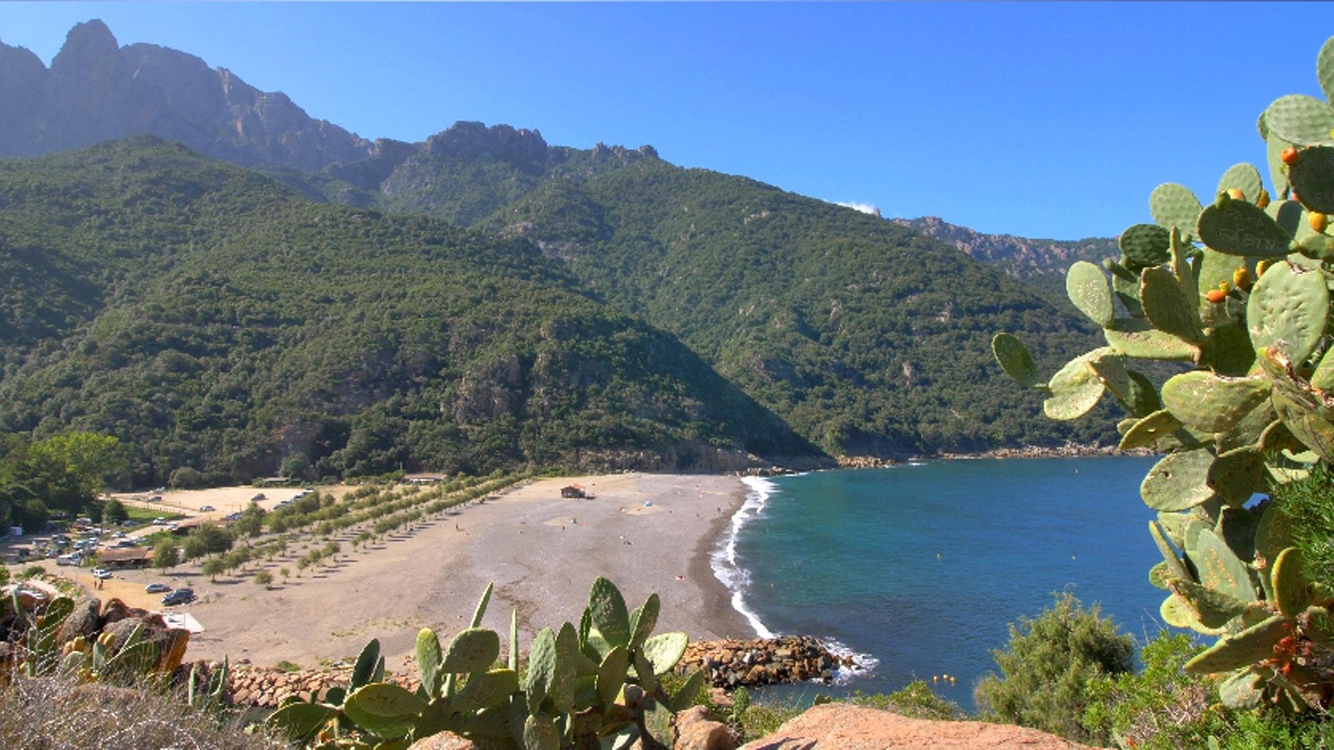 "Traumorte - Korsika": Bucht mit Kaktus im Anschnitt, im Hintergrund bewaldete Berge.