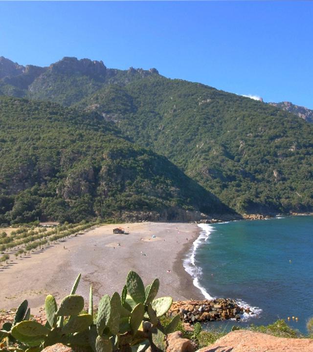 "Traumorte - Korsika": Bucht mit Kaktus im Anschnitt, im Hintergrund bewaldete Berge.