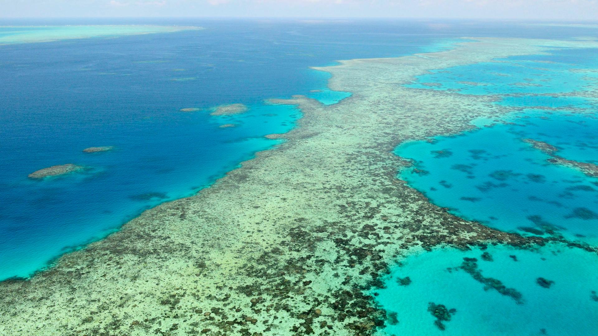 Blick auf das Great Barrier Reef in Australien. Zu sehen ist türkisfarbenes, kristallklares Wasser und kleine Inseln und Sandbänke.