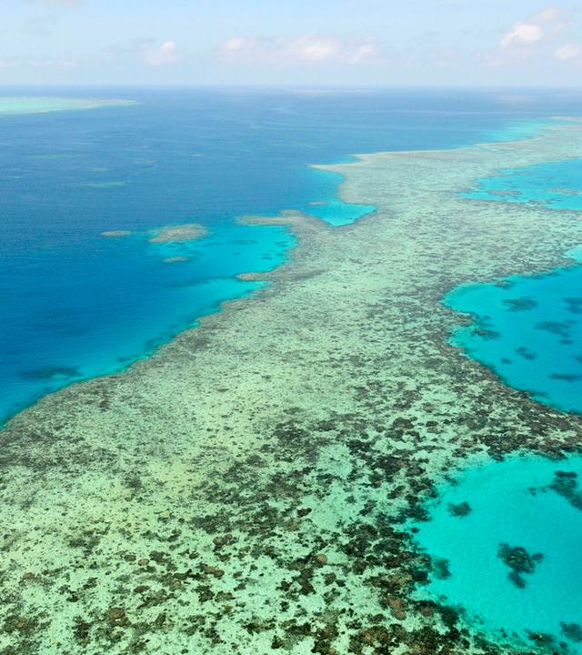 Blick auf das Great Barrier Reef in Australien. Zu sehen ist türkisfarbenes, kristallklares Wasser und kleine Inseln und Sandbänke.
