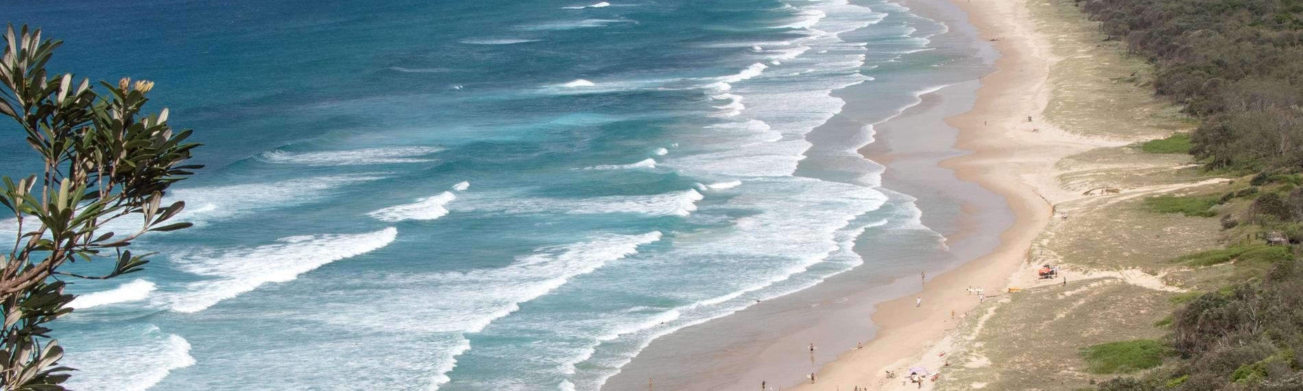 Panoramaaufnahme eines weitläufigen Sandstrandes der in ein dichtes Waldgebiet übergeht. Am blauem Himmel hängen einige Wolken.  