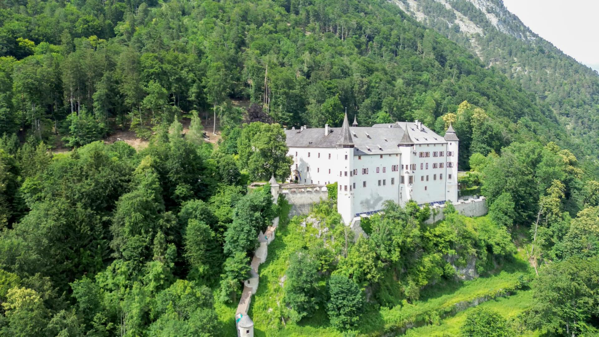 Eine Schlossanlage auf einem bewaldeten Hügel mit umliegendem Waldgebiet.