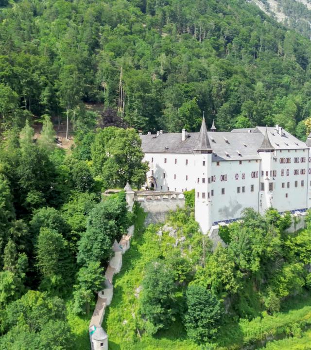 Eine Schlossanlage auf einem bewaldeten Hügel mit umliegendem Waldgebiet.