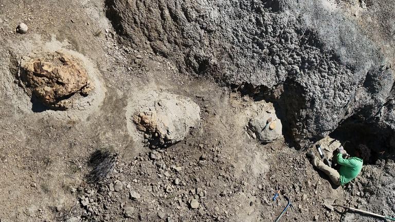 Spurenfolgen von einem ausgewachsenen T-Rex. Wie das Team von der Liverpool John Moores University im Fachmagazin «Journal of Vertebrate Paleontology» berichtet, handelt es sich um den ersten bekannten Fährtenweg