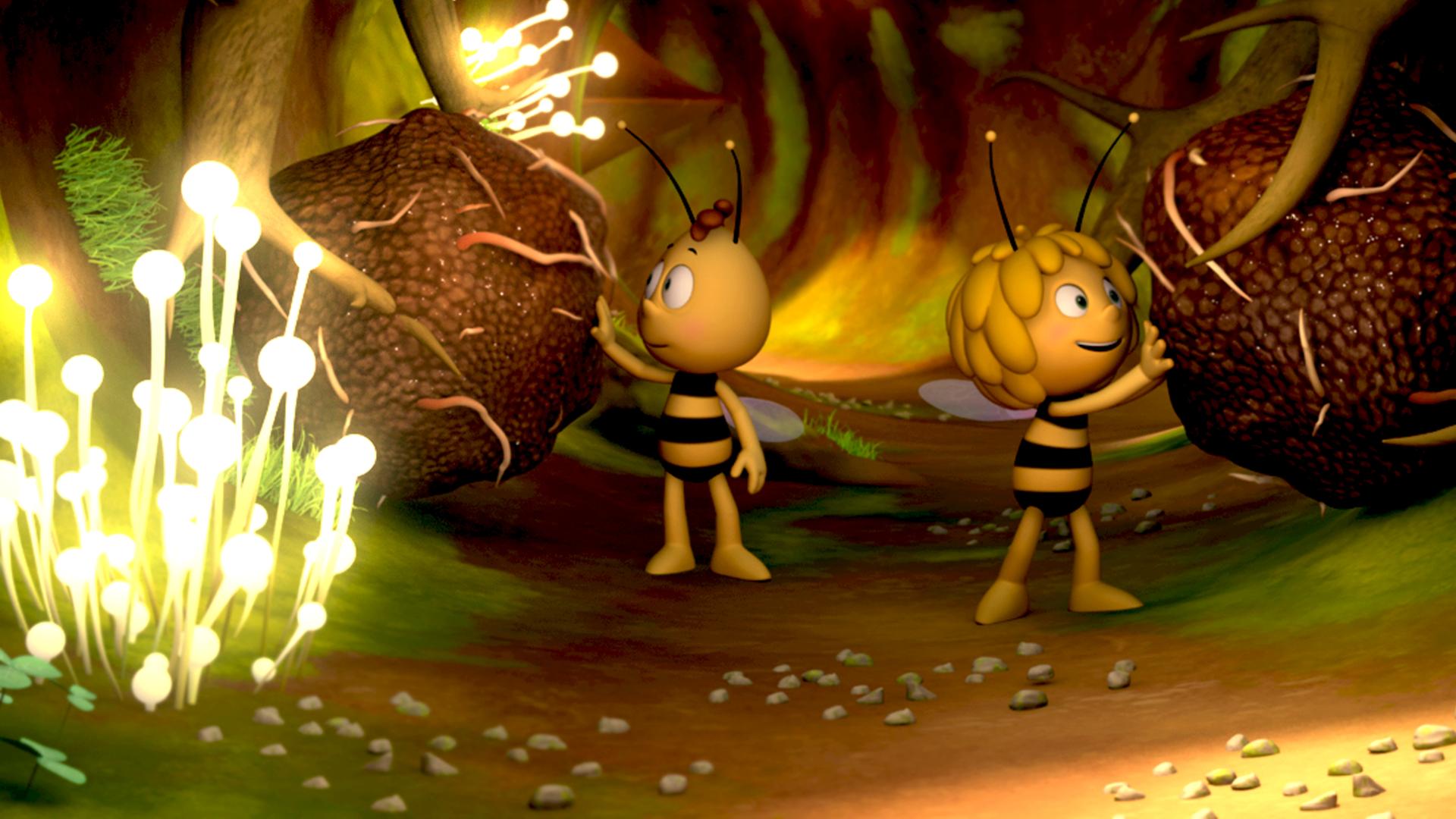 Maja und Willi untersuchen das Wurzelwerk der kranken Eiche unter der Erde. Sie sehen Trüffel in den Wurzeln.