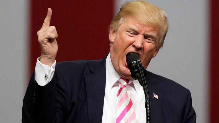 Donald Trump spricht gestikulierend in ein Mikrofon