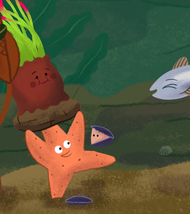 Der kleine Hering ist in die Unterwasserwelt des Tümpels abgetaucht. Dort ist eni Seestern und eine Unterwasserpflanze zu sehen.