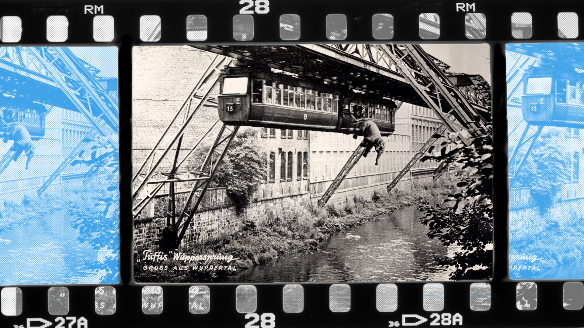 Postkarte mit Fotomontage: Elefant Tuffi beim Sprung aus Schwebebahn in Wuppertal 1950