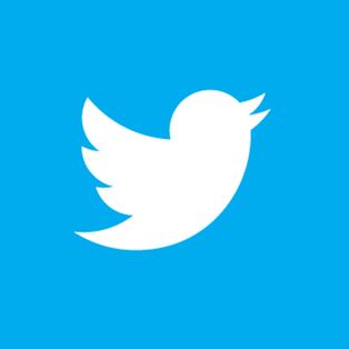 Twitter Logo mit Vogel