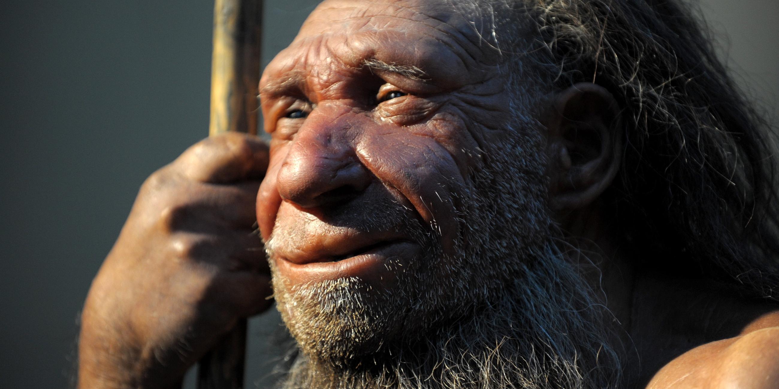 Typical: Neandertaler