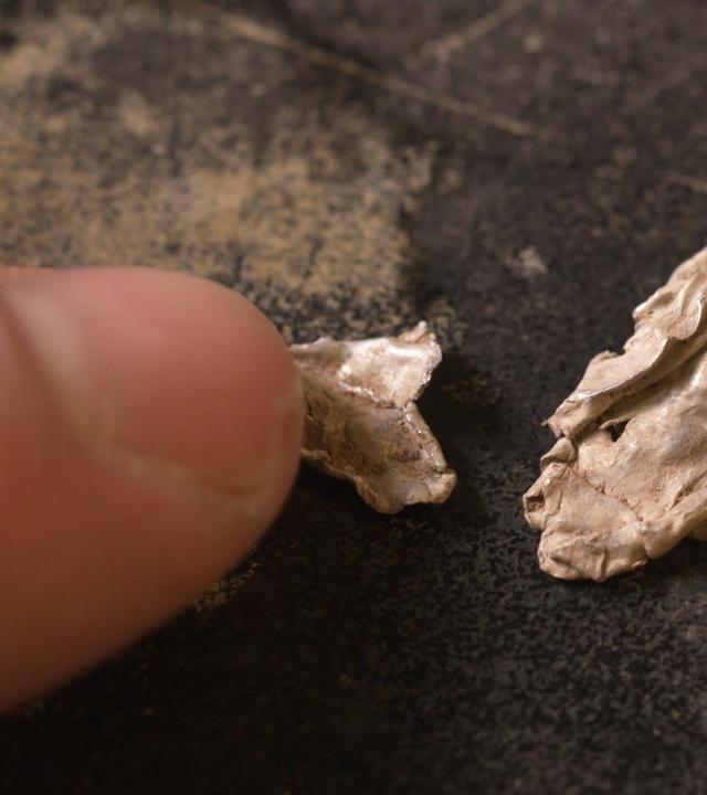 "UFOs Declassified - Die Geheimakten: Roswell, New Mexiko": Metallisches Material in Nahaufnahme.