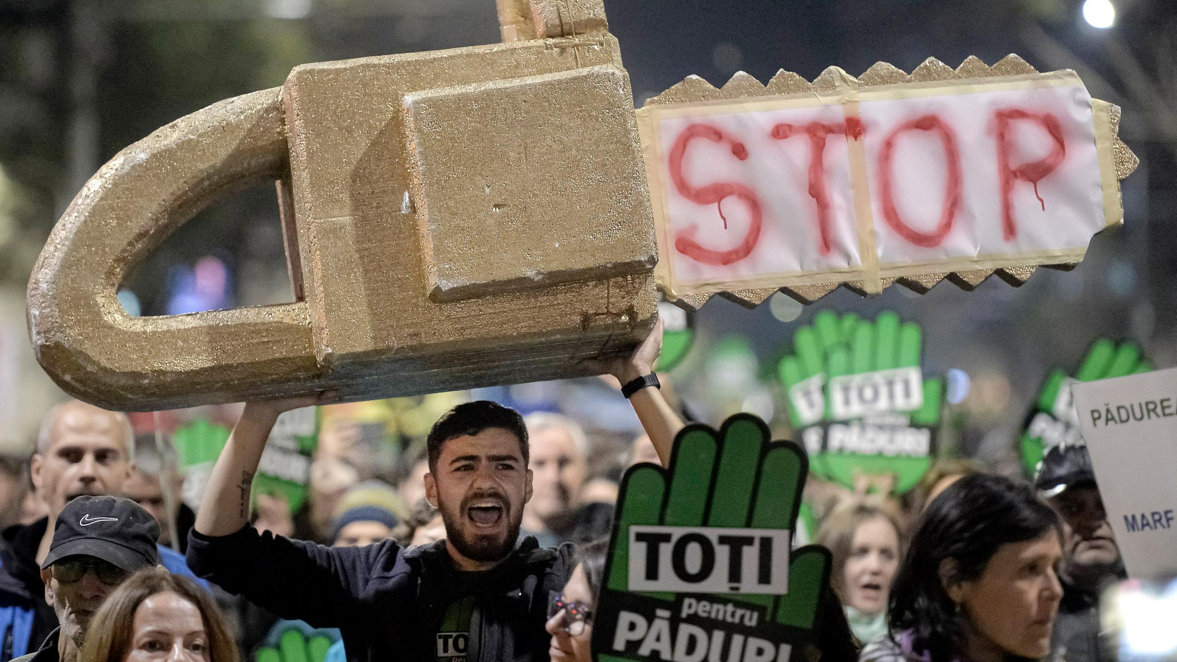 Demonstration gegen die illegale Abholzung im November 2019