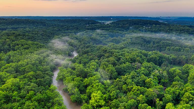 Vogelperspektive auf einen braunen schmalen Fluss im einem Regenwaldgebiet mit Nebel über einigen Bäumen
