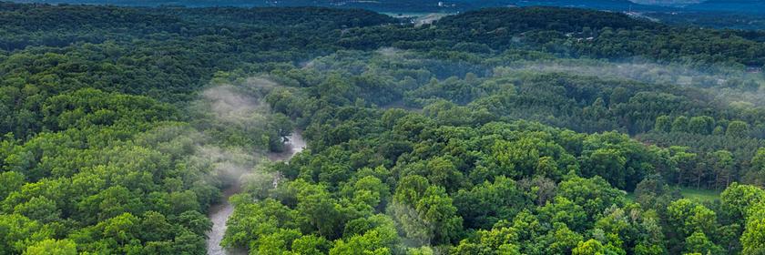 Vogelperspektive auf einen braunen schmalen Fluss im einem Regenwaldgebiet mit Nebel über einigen Bäumen
