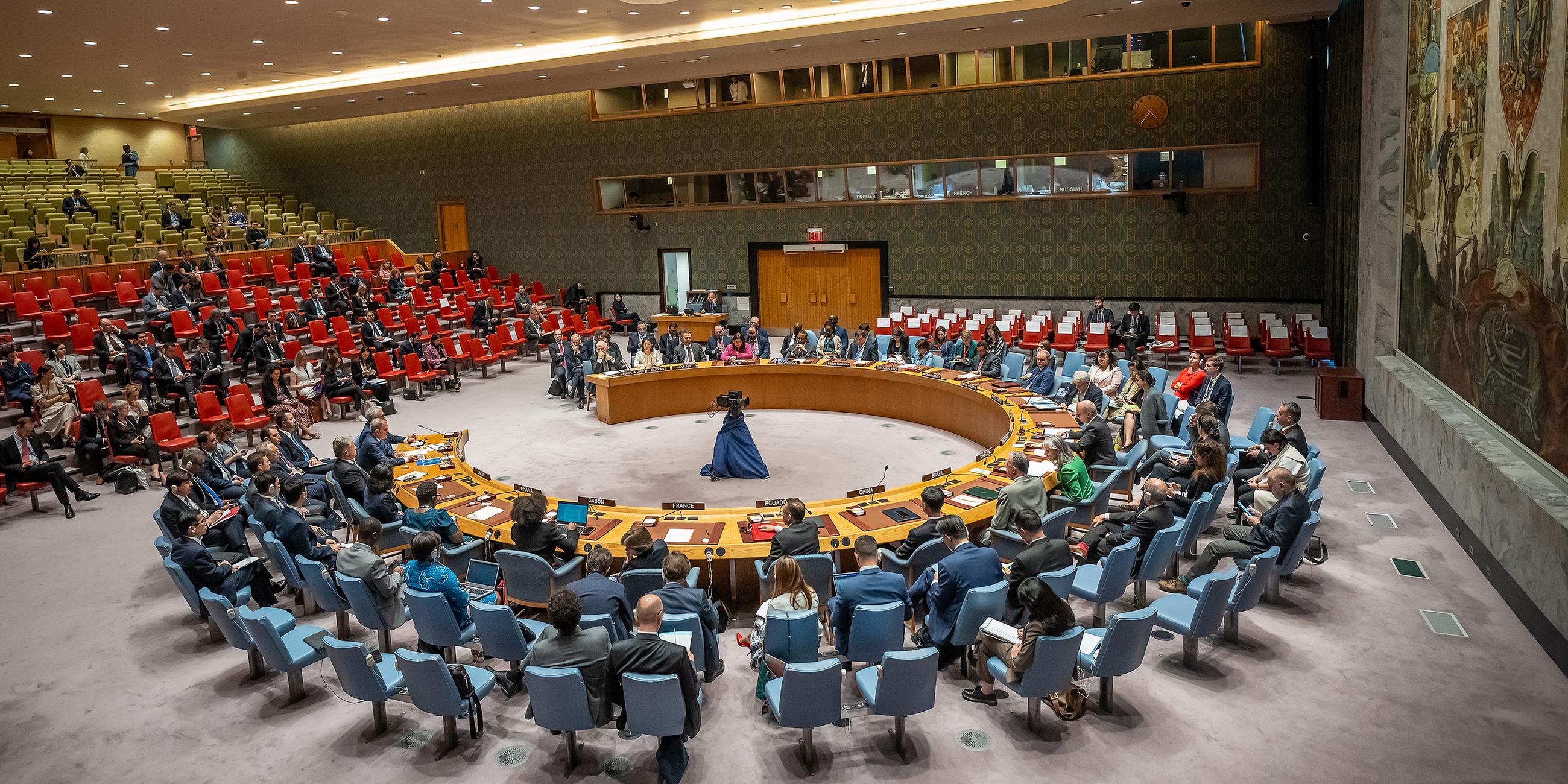 Vollversammlung im UN-Sicherheitsrat in New York