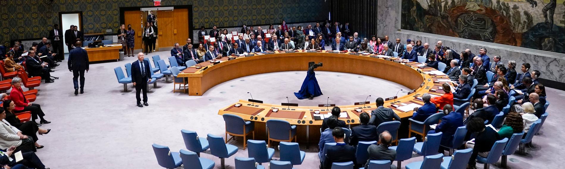Teilnehmer während einer Sitzung des UN-Sicherheitsrates in New York.