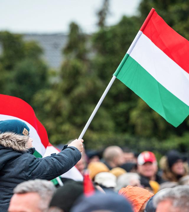 Kind hält mit ungarische Fahne in Menschenmenge 