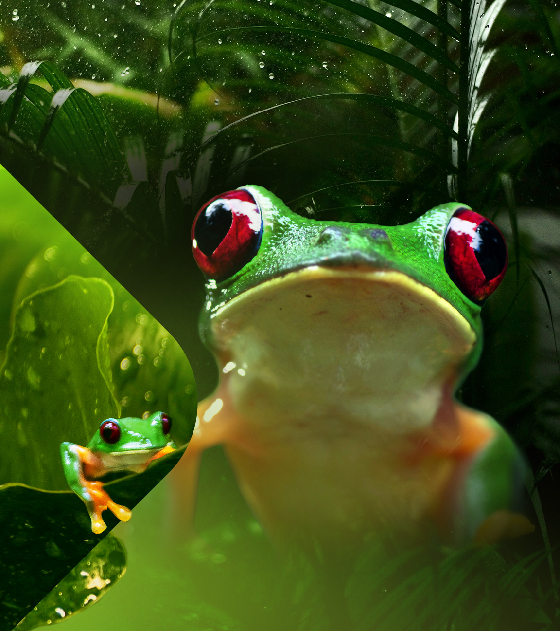 Unsere Erde III - Von Sumpfmonstern und Zombiefischen