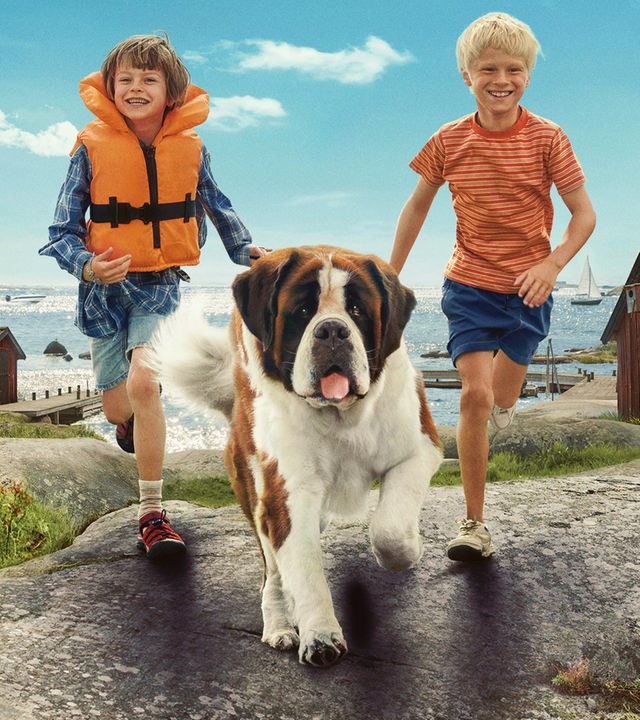 Unsere Ferien auf Saltkrokan