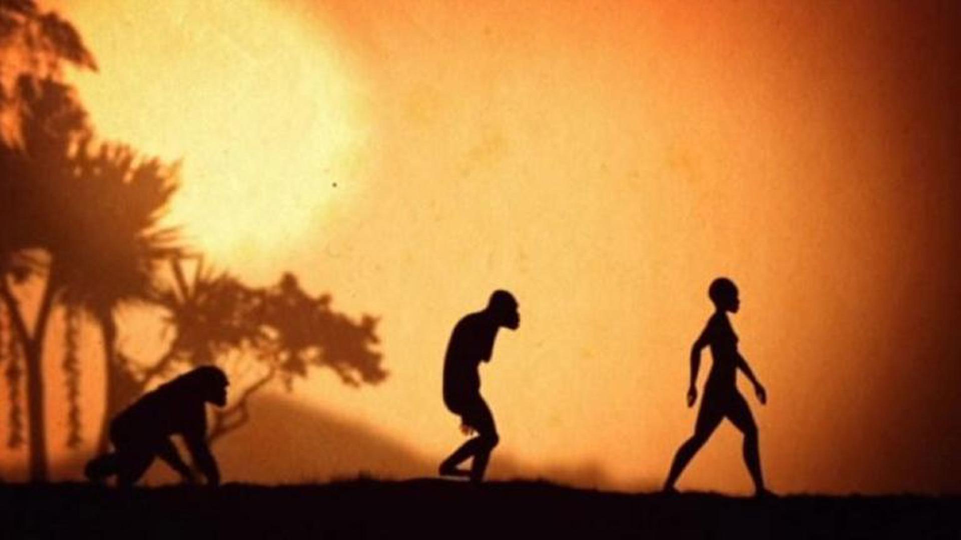 "Unsere geheimen Vorfahren (3) Der Affe in uns": Evolution des Menschen im Sonnenuntergang.