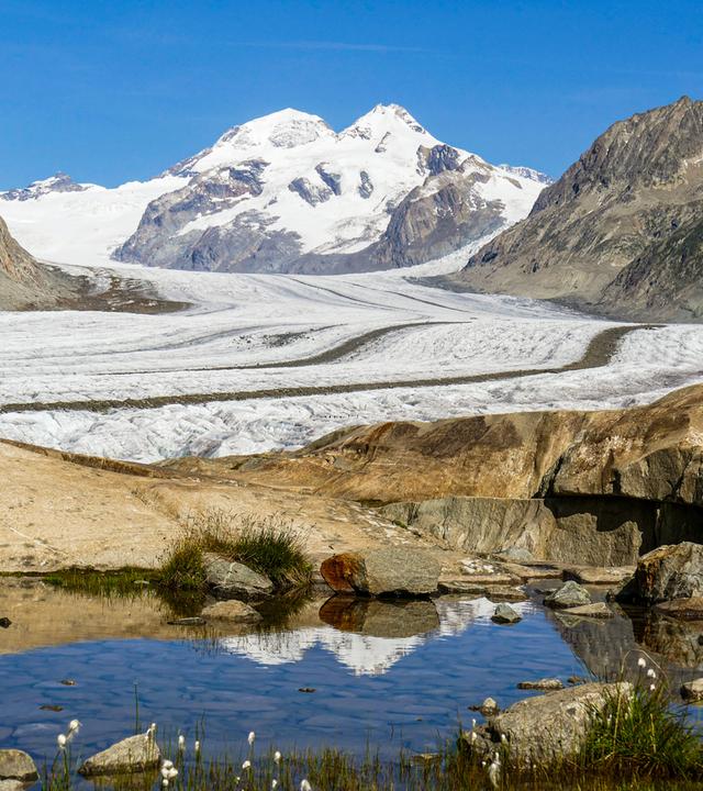 Durch das Abschmelzen des Aletschgletscher bilden sich kleine Bergseen
