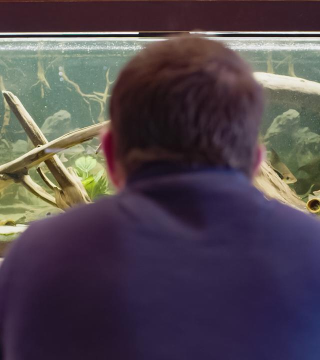 Das Bild zeigt einen Mann, der von hinten betrachtet wird. Er sitzt vor einem großen Aquarium, das verschiedene natürliche Elemente enthält, wie Wurzeln und Pflanzen. Im Aquarium schwimmen einige Fische. Die Umgebung wirkt hell und freundlich, und der Mann trägt einen dunklen Pullover. Das Wasser im Aquarium ist klar, und es gibt eine leichte Unschärfe durch die Bewegung der Fische und das Licht, das auf die Wasseroberfläche trifft. Die gesamte Szene vermittelt eine ruhige und nachdenkliche Atmosphäre.