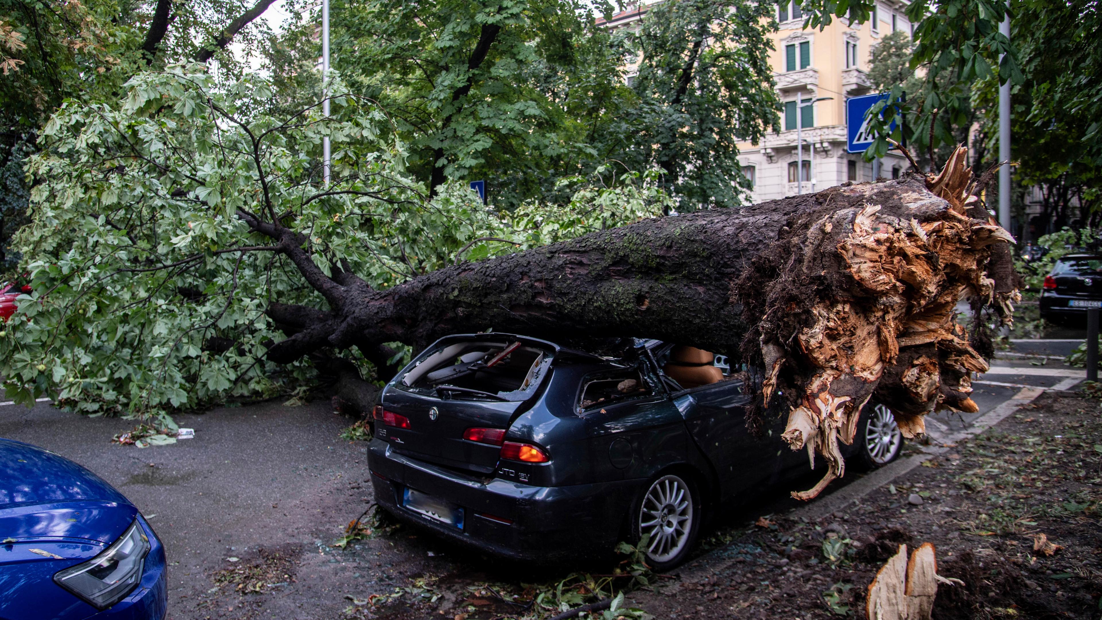 Ein Baum liegt auf einem Auto in Norditalien am 25.07.2023