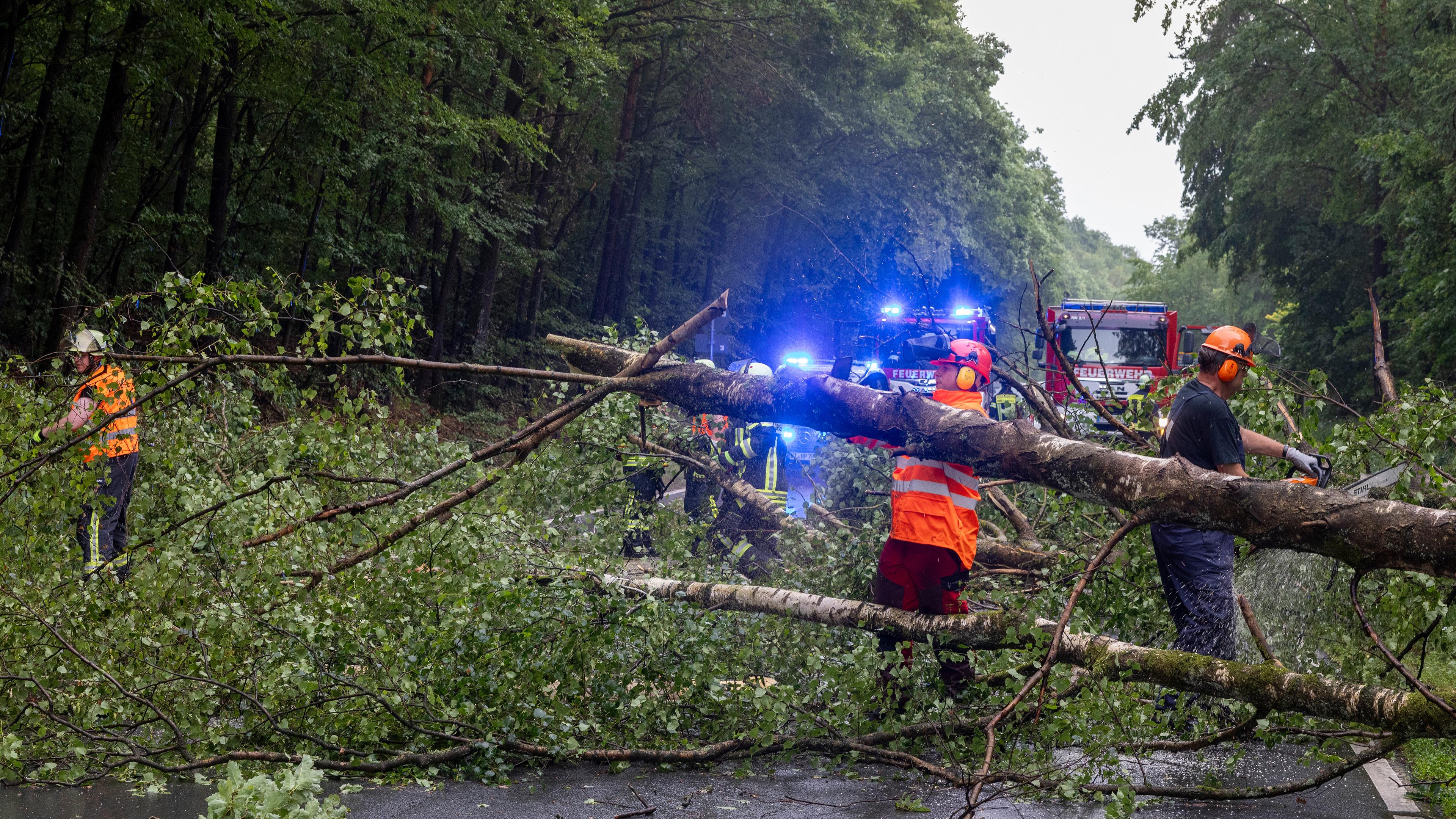 Feuerwehr beseitigt einen umgestürtzten Baum auf der L3004 im Naturpark Taunus, aufgenommen am 22.06.2023