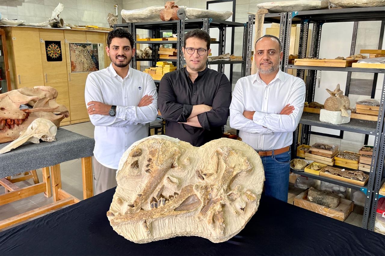 Forscher mit den fossilen Überresten des Ur-Wals.