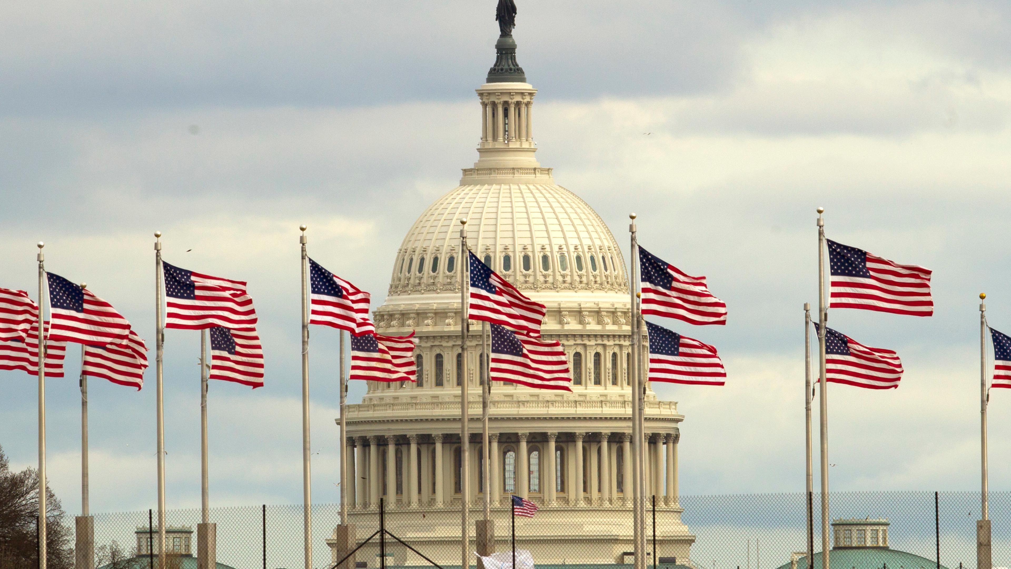 US-Flaggen wehen vor dem Kapitol in Washington.