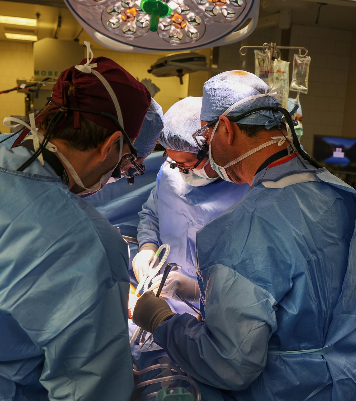 USA, Boston: Ärzte arbeiten in einem OP-Raum bei der Transplantation einer Schweineniere im Massachusetts General Hospital. Archivbild