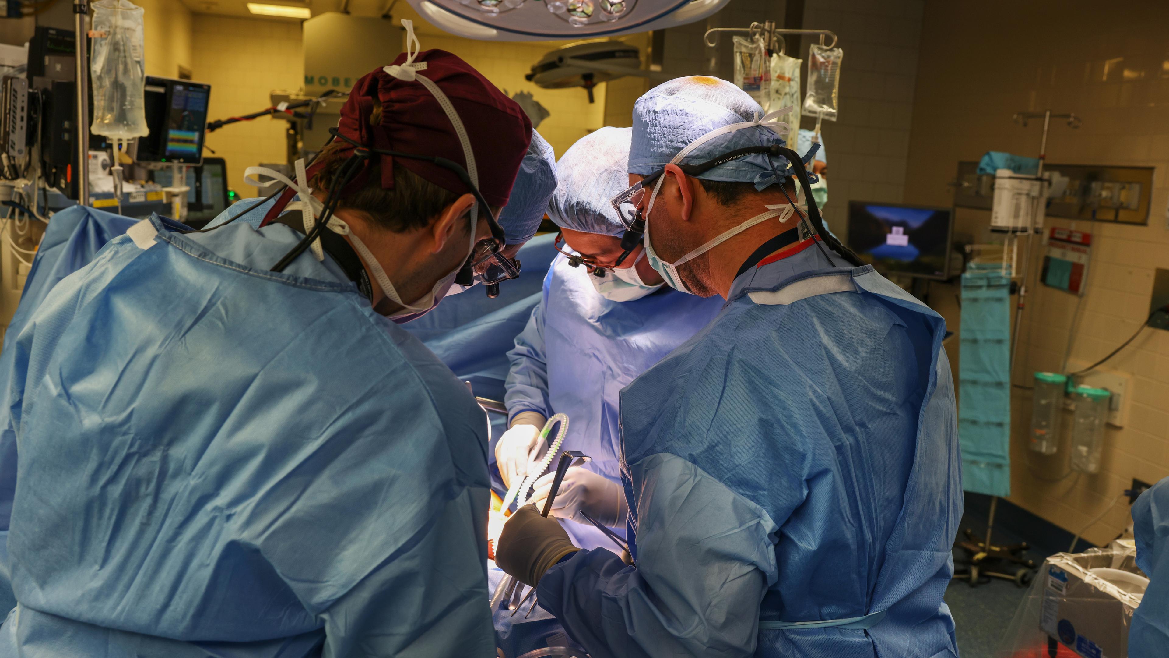 USA, Boston: Ärzte arbeiten in einem OP-Raum bei der Transplantation einer Schweineniere im Massachusetts General Hospital. Archivbild