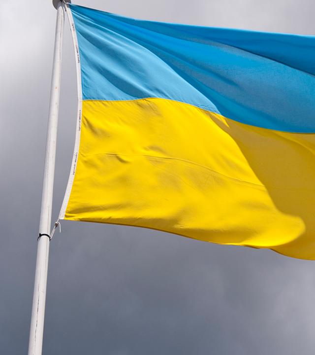 Eine im Wind wehende Ukraine-Flagge vor bewölktem Himmel
