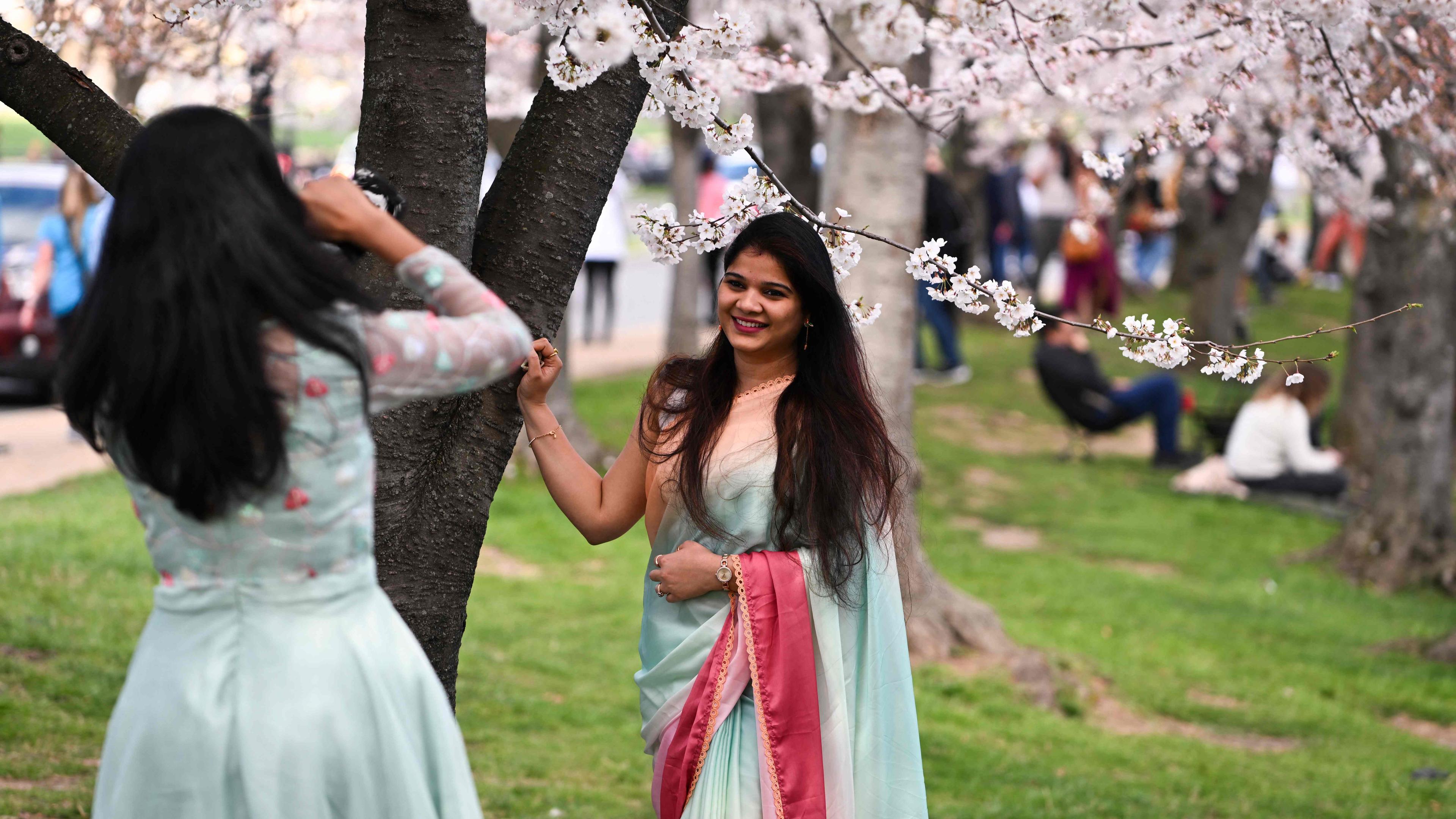 Eine Frau fotografiert ihre Freundin unter blühenden Kirschbäumen in Washington, DC.
