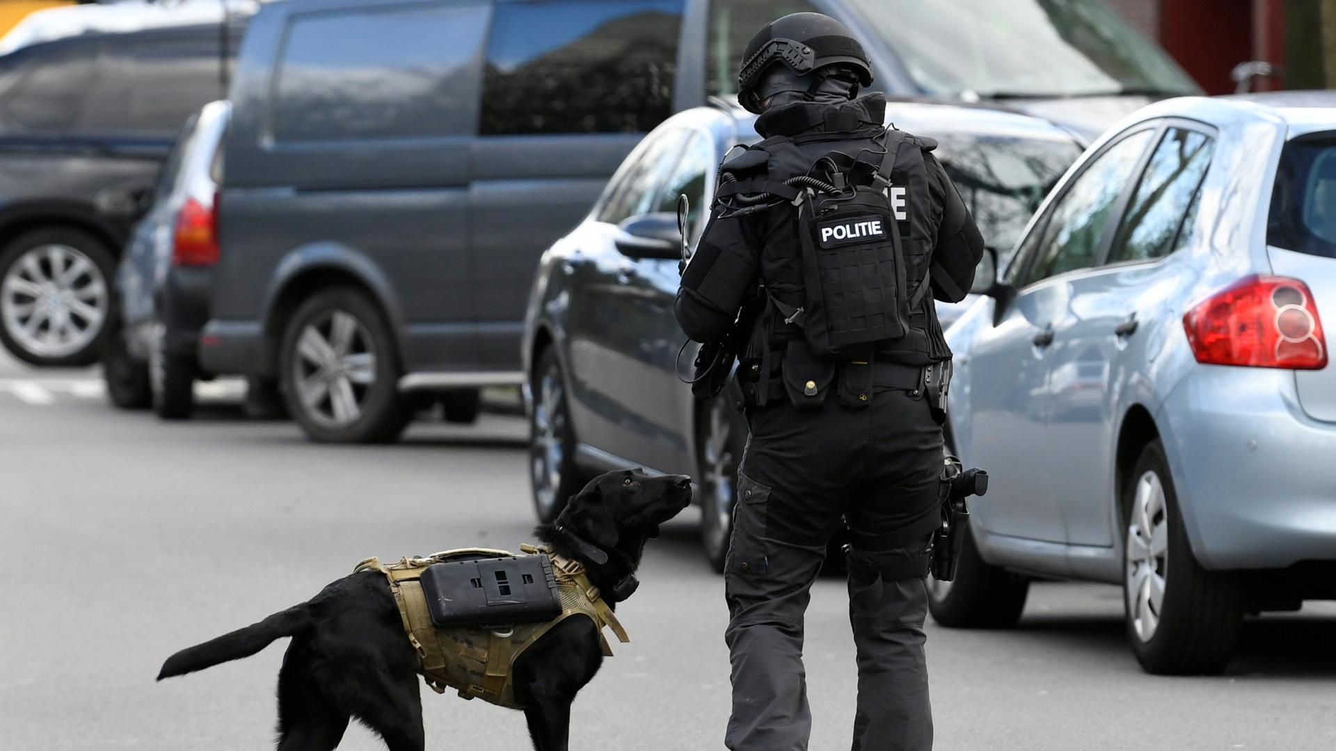 Polizist mit Suchhund in Utrecht