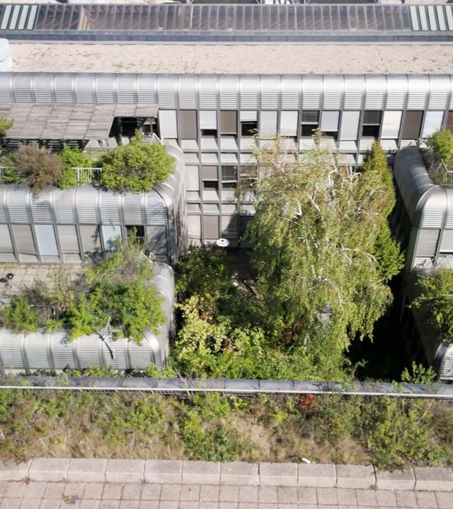 Das Bild zeigt einen verselbstständigten Dachgarten der ehemaligen Wirtschaftsuniversität in Wien. Aus der Vogelperspektive sind verschiedene Dachstrukturen sichtbar, die mit grünen Pflanzen und Bäumen bewachsen sind. Die Gebäudeoberflächen sind größtenteils mit Glas und metallischen Elementen gestaltet. Auf den Dächern wachsen verschiedene Arten von Pflanzen, darunter auch größere Bäume, die dem Raum ein grünes und lebendiges Aussehen verleihen. Der Boden des Dachgartens besteht aus Fliesen und unregelmäßig verteilten Vegetationsbereichen. Um den Garten herum sind begrünte Bereiche sichtbar, die eine Mischung aus Natur und urbanem Raum darstellen. Das Bild vermittelt einen Eindruck von einer ruhigen und inspirierenden Umgebung, die sich inmitten der städtischen Architektur befindet.