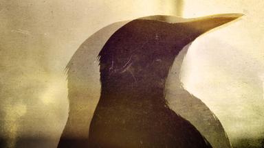 Zdfinfo - Wunder Der Wissenschaft: Heilendes Vogelhirn, Wasser Unterm Meer
