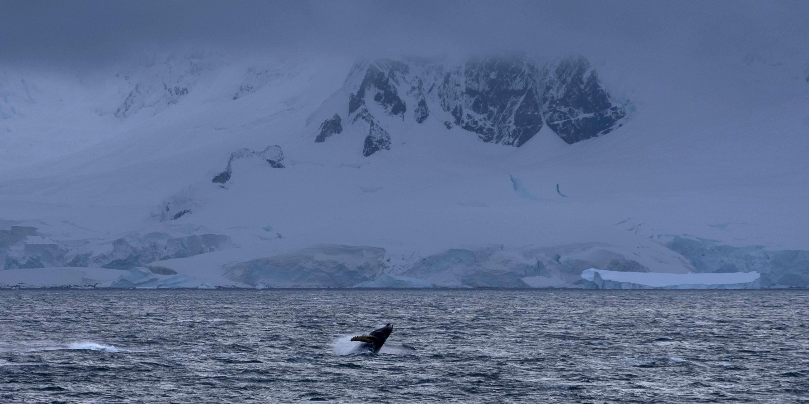 Verhandlungen über Meeresschutzgebiete in der Antarktis