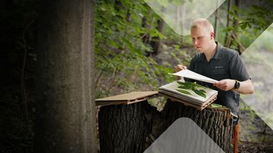 Die Schätze der Natur