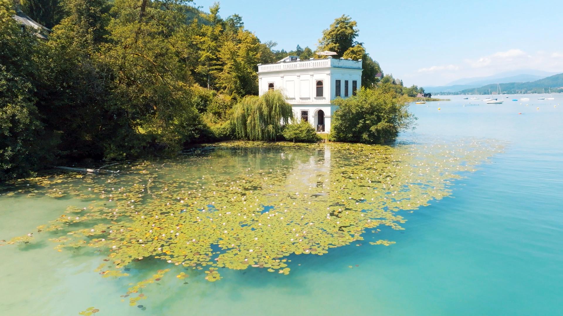 Das Bild zeigt die Samek Villa am Wörthersee, umgeben von üppiger Vegetation und Wasser. Die Villa ist zweistöckig und hat eine helle, weiße Fassade mit großen Fenstern. Vor der Villa erstreckt sich eine Wasserfläche, die mit grünen Seerosen und Wasserpflanzen bedeckt ist. Im Hintergrund sind sanfte Hügel und das weite, klare Wasser des Wörthersees zu sehen. An der Uferlinie sind einige kleine Boote und Ankerbojen sichtbar. Die Szene vermittelt einen ruhigen und idyllischen Eindruck, typisch für eine Sommerresidenz in dieser Region.