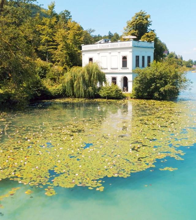 Das Bild zeigt die Samek Villa am Wörthersee, umgeben von üppiger Vegetation und Wasser. Die Villa ist zweistöckig und hat eine helle, weiße Fassade mit großen Fenstern. Vor der Villa erstreckt sich eine Wasserfläche, die mit grünen Seerosen und Wasserpflanzen bedeckt ist. Im Hintergrund sind sanfte Hügel und das weite, klare Wasser des Wörthersees zu sehen. An der Uferlinie sind einige kleine Boote und Ankerbojen sichtbar. Die Szene vermittelt einen ruhigen und idyllischen Eindruck, typisch für eine Sommerresidenz in dieser Region.