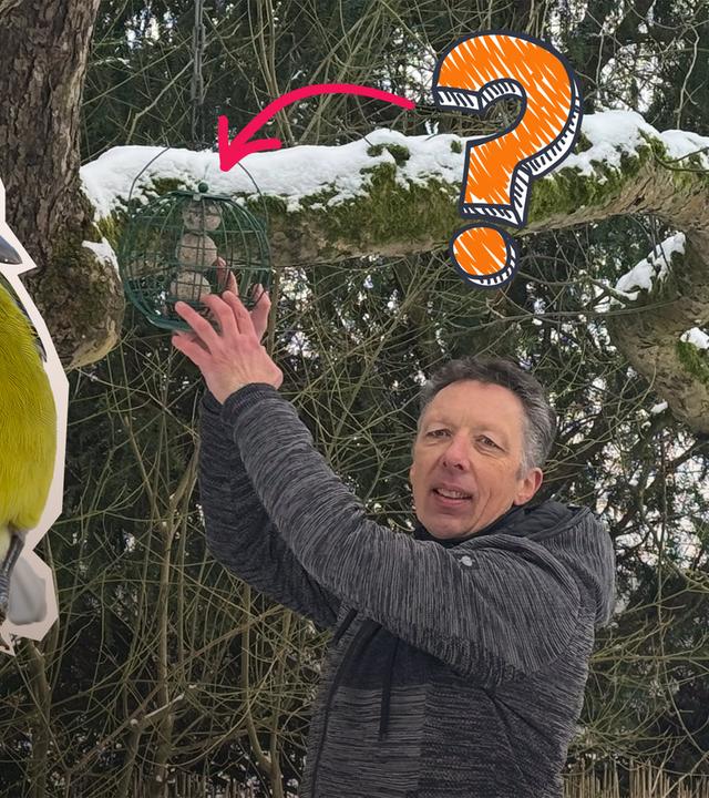 Collage: Vogelexperte hängt Meisenknödel an Baum, daneben Cutouts von Vögeln und Fragezeichen mit Pfeil Richtung Meisenknödel