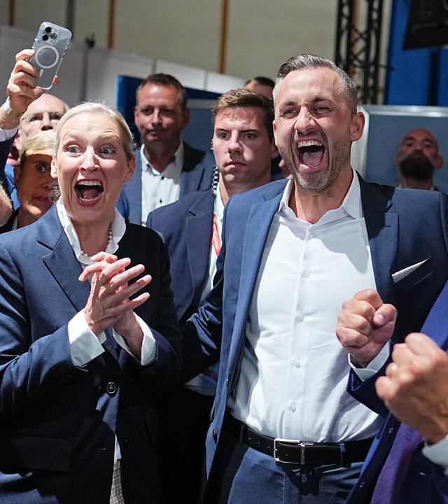 Landtagswahl in Sachsen-Anhalt - AfD