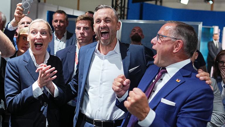 Landtagswahl in Sachsen-Anhalt - AfD