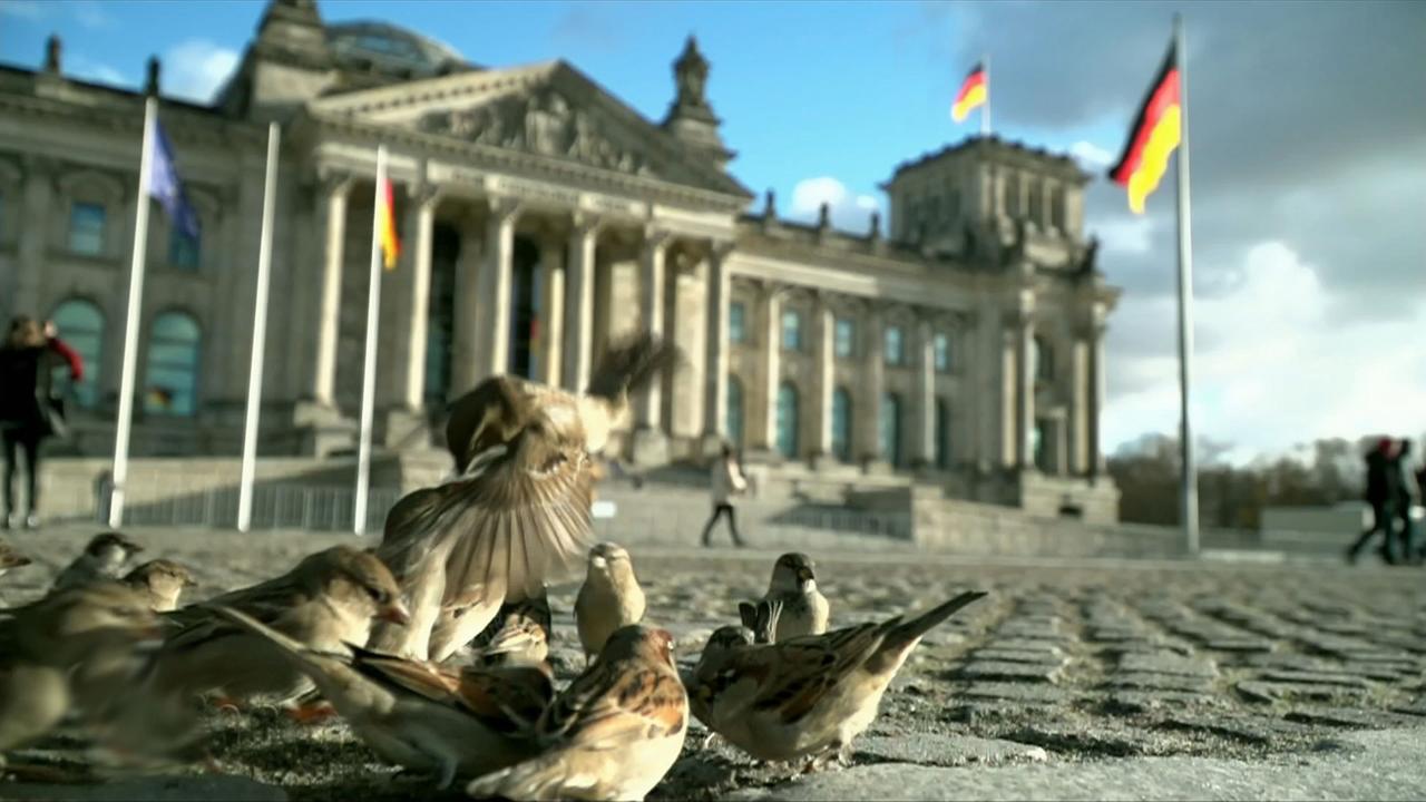 Wahlrechtsreform im Bundestag
