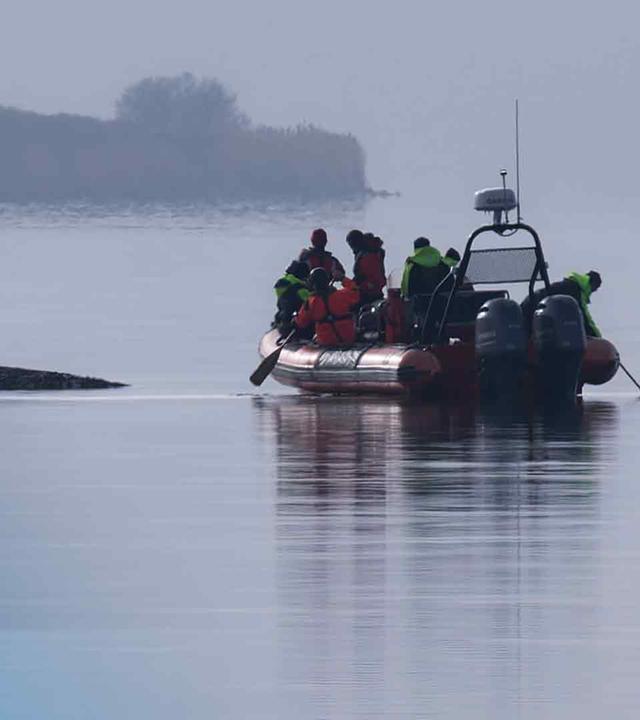 Der wieder gestrandete Buckelwal ist mit seinem Rücken über dem Wasser herausragend zu sehen. Rechts daneben ist ein Rettungsboot mit mehreren Menschen darauf.