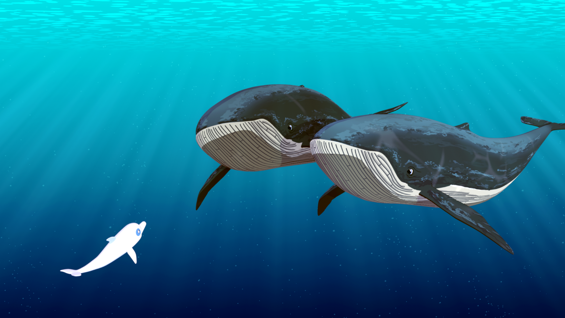 Zoom unterhält sich mit den Eltern des Buckelwals, die bei der Rettung ihres gestrandeten Kindes helfen sollen.