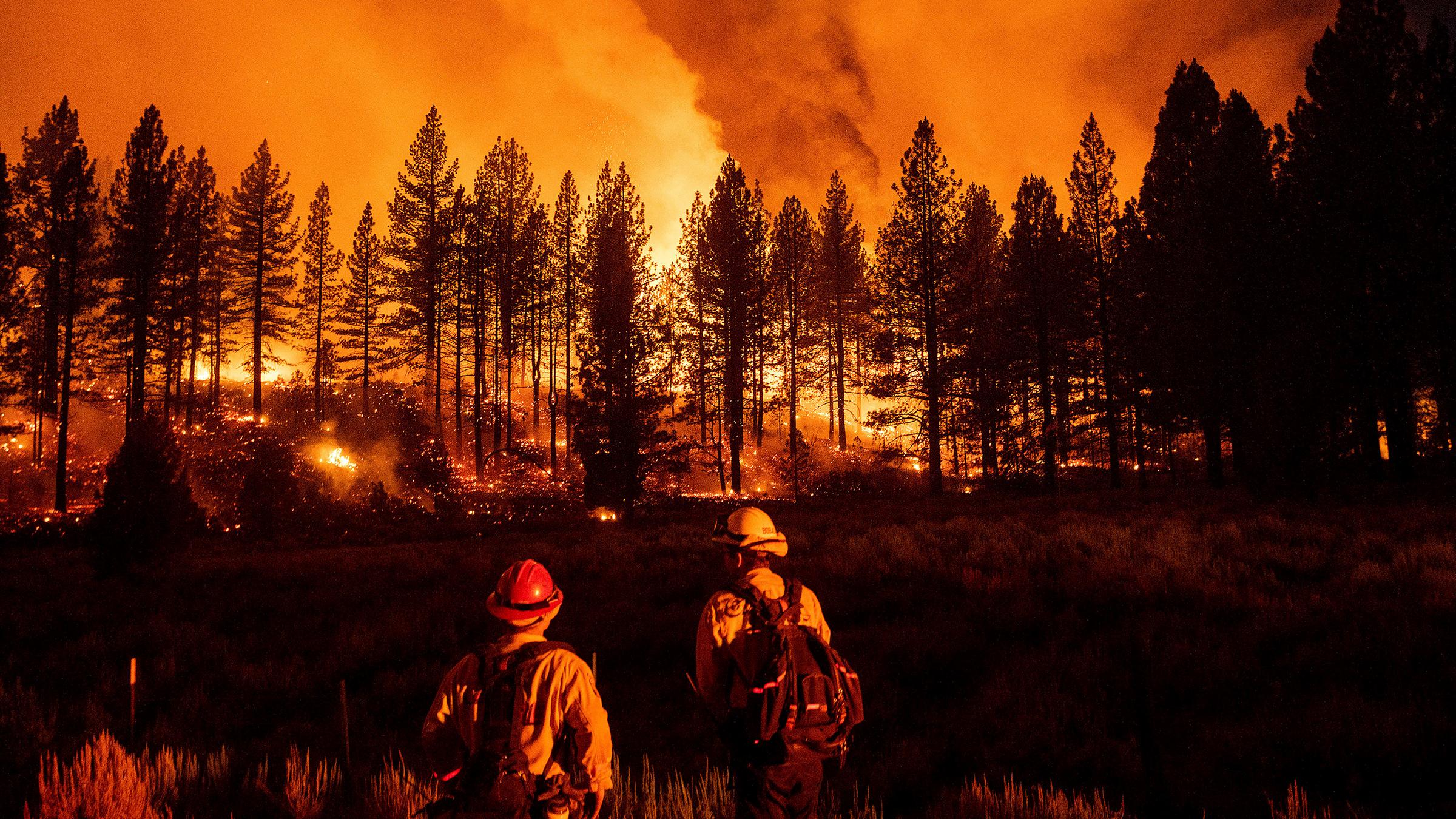 Zwei Feuerwehrleuute stehen vor einem brennenden Wald in Kalifornien